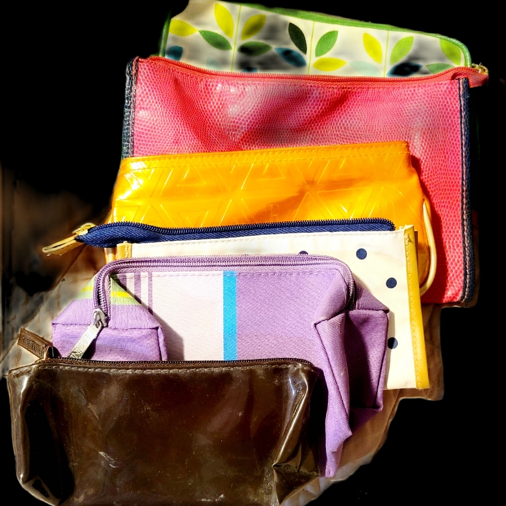 6 cosmetic bags